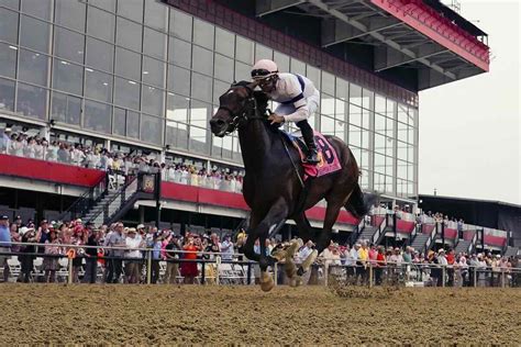 preakness handicapping|Preakness Stakes Picks & Expert Handicapping Selections.